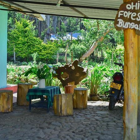 Ohiya Forest Lodge Экстерьер фото