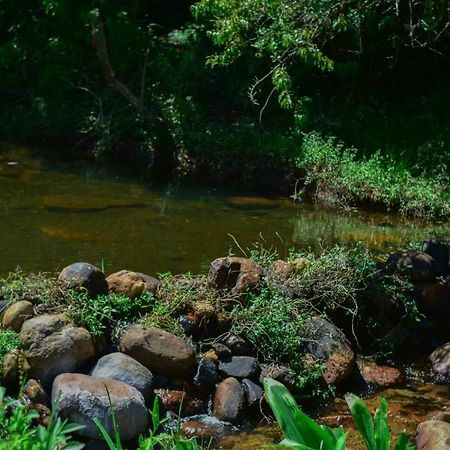 Ohiya Forest Lodge Экстерьер фото