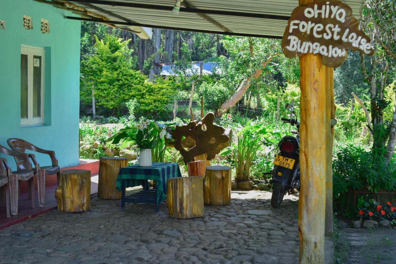 Ohiya Forest Lodge Экстерьер фото