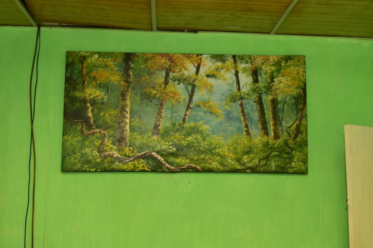 Ohiya Forest Lodge Экстерьер фото