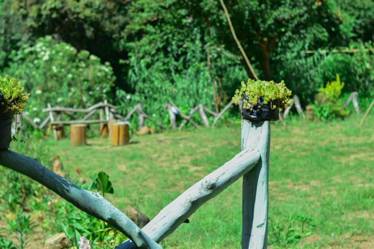 Ohiya Forest Lodge Экстерьер фото