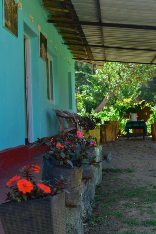 Ohiya Forest Lodge Экстерьер фото