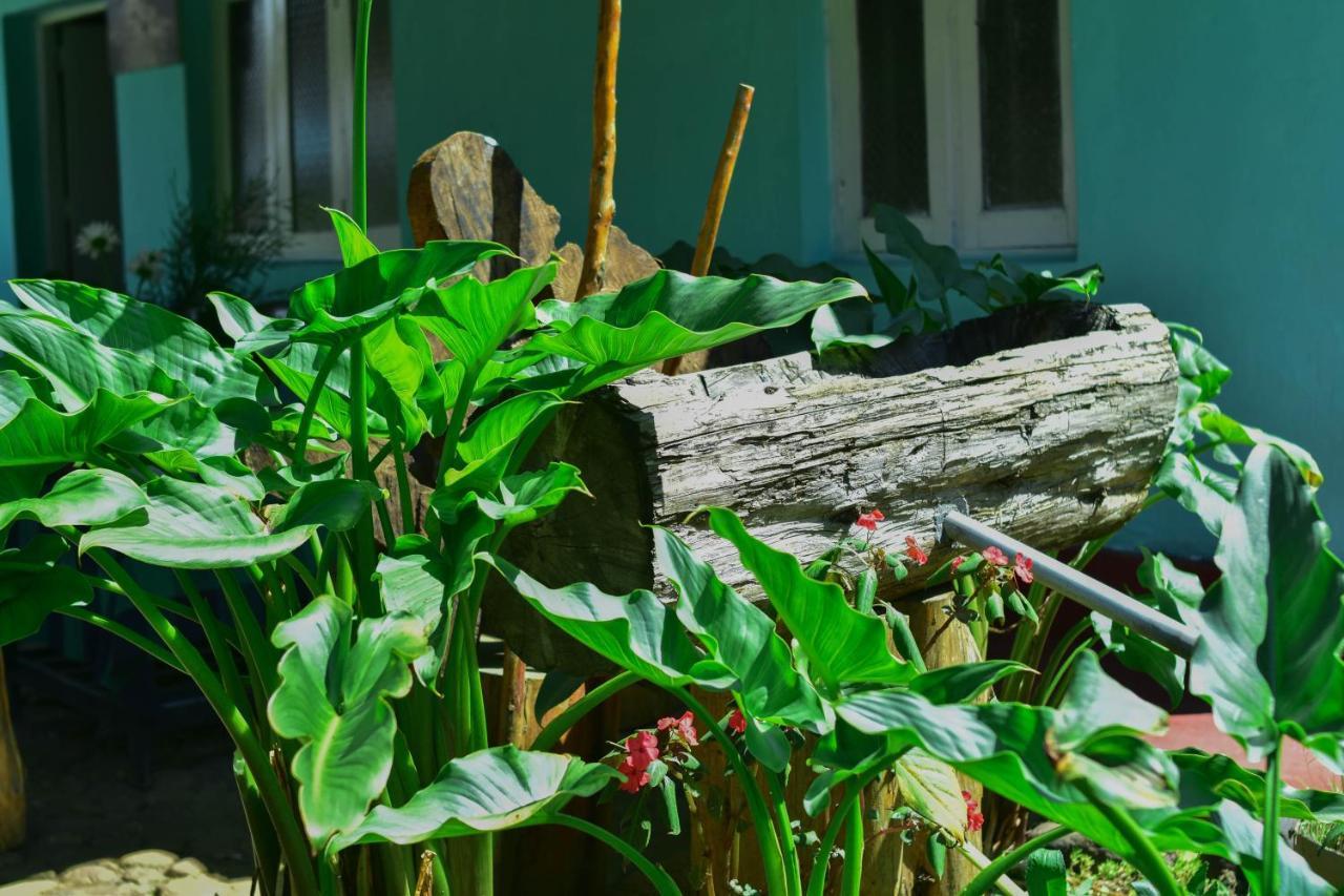 Ohiya Forest Lodge Экстерьер фото