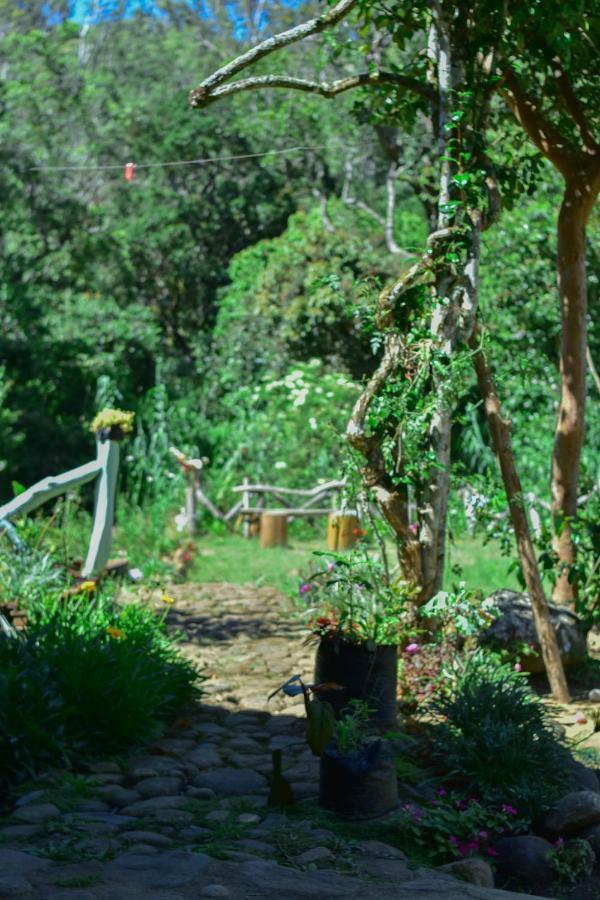 Ohiya Forest Lodge Экстерьер фото