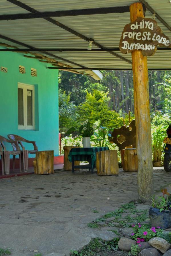 Ohiya Forest Lodge Экстерьер фото