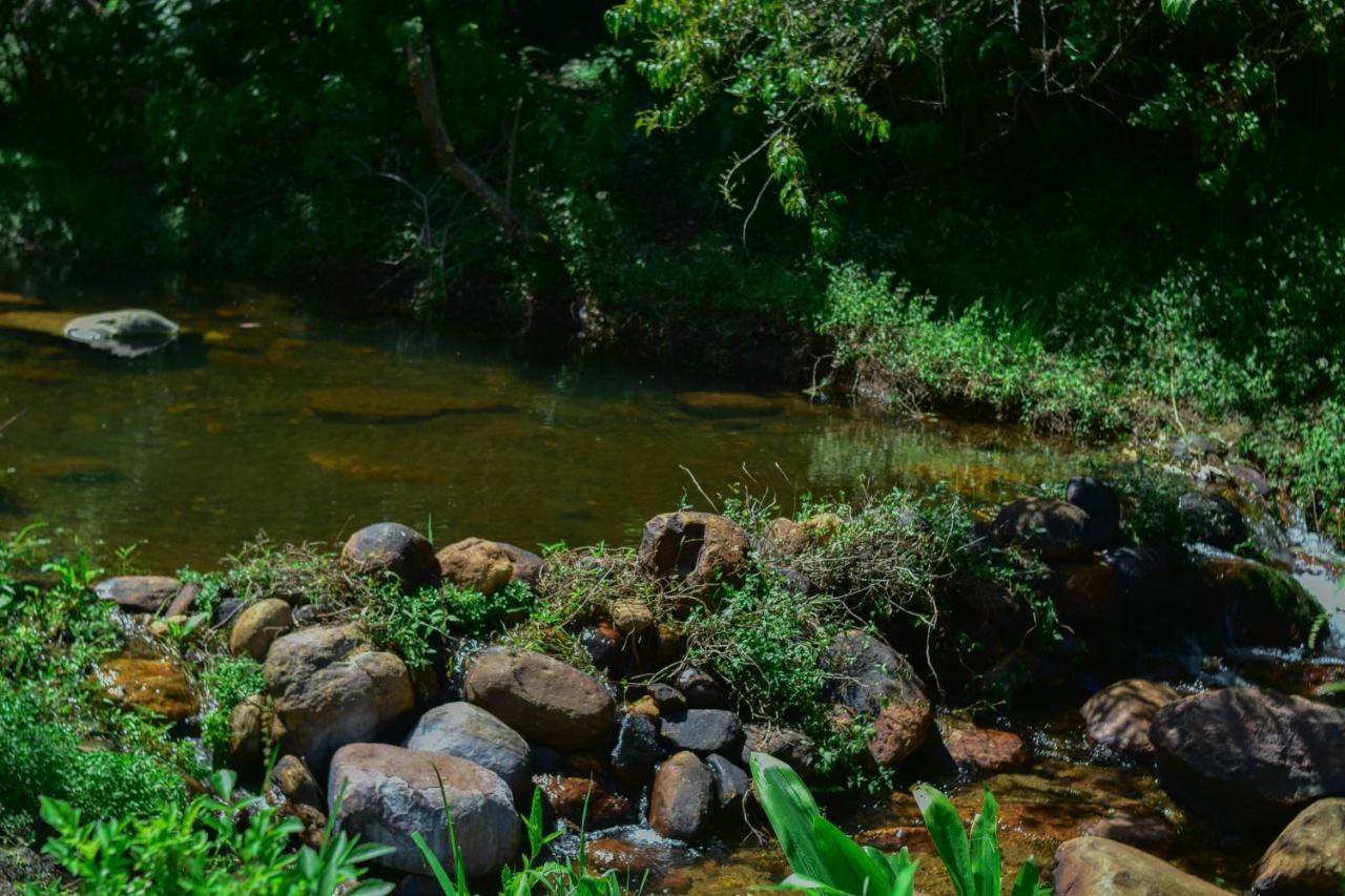 Ohiya Forest Lodge Экстерьер фото