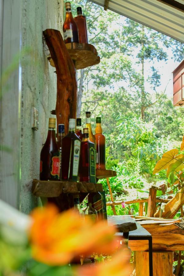 Ohiya Forest Lodge Экстерьер фото