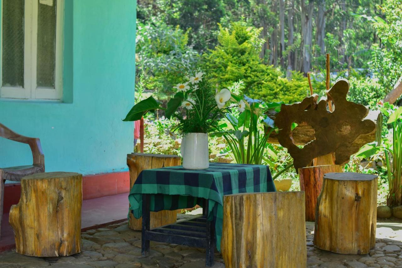 Ohiya Forest Lodge Экстерьер фото