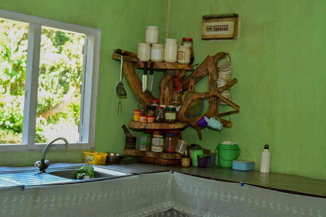 Ohiya Forest Lodge Экстерьер фото