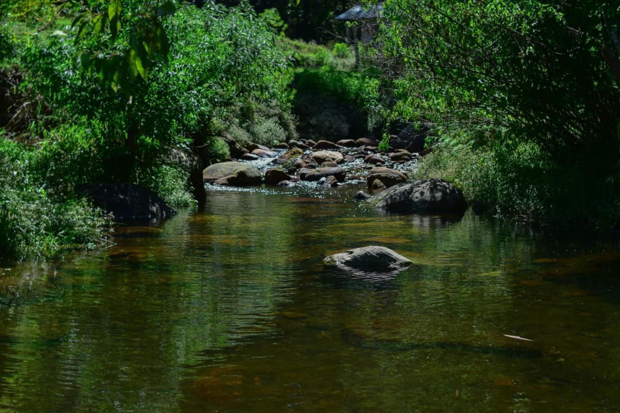 Ohiya Forest Lodge Экстерьер фото