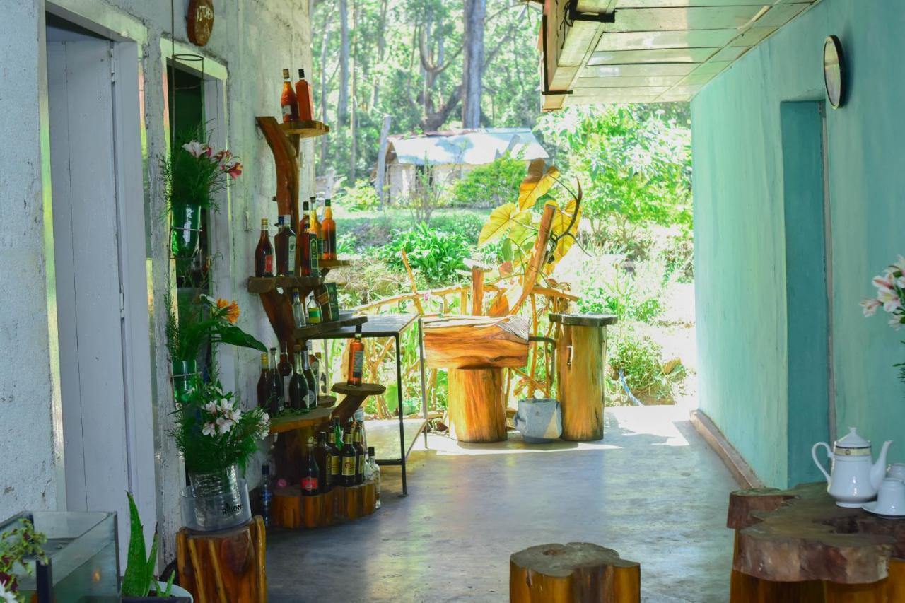 Ohiya Forest Lodge Экстерьер фото